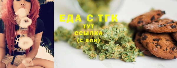СК Медногорск