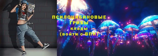 гидра Майский